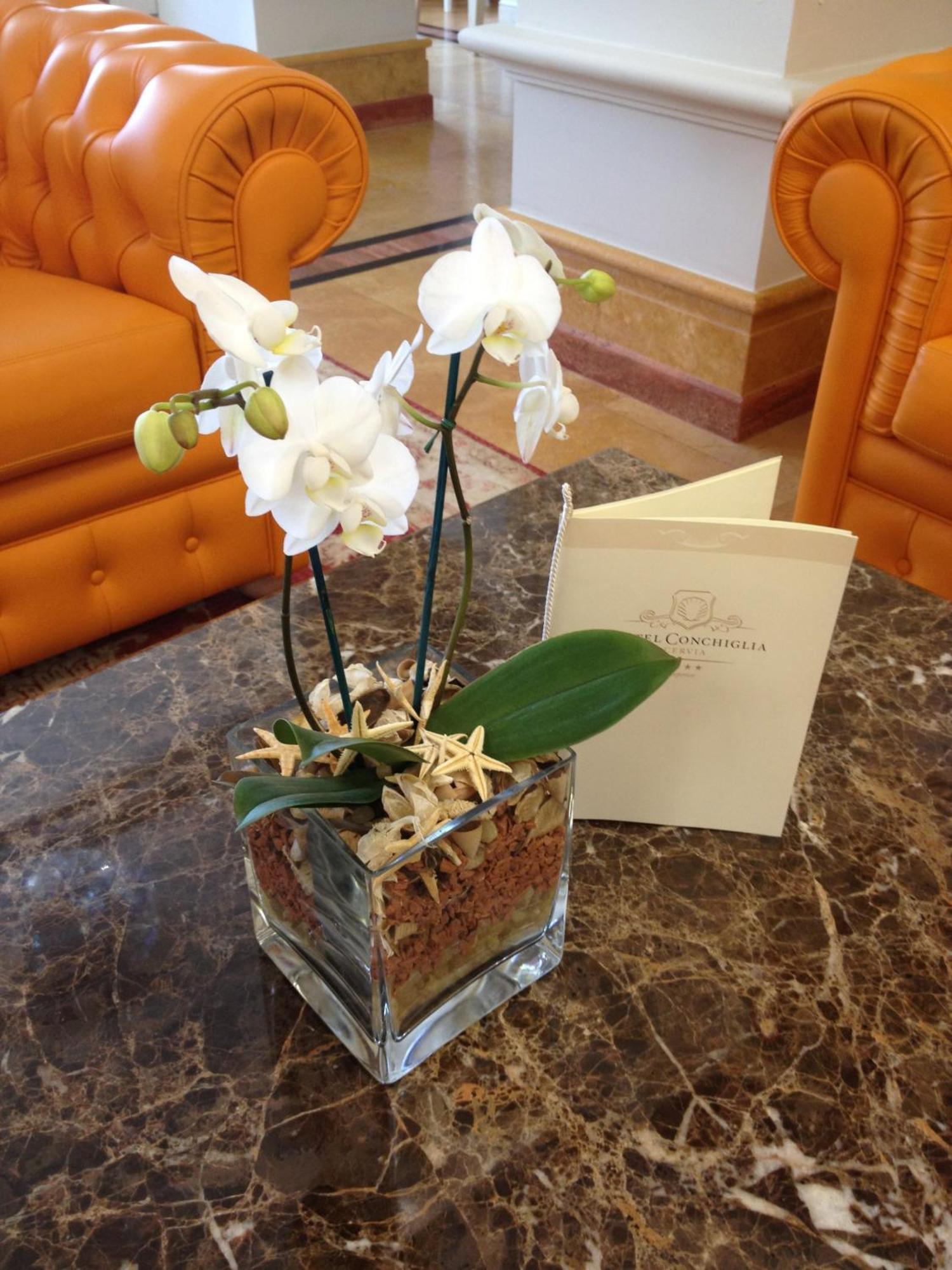 Hotel Conchiglia Cervia